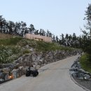 블랙트리 하우스 이미지