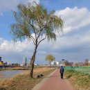 계백로(유등교-서대전네거리) 이미지