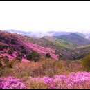 육하원칙 이미지