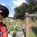 월대산작은도서관 이미지