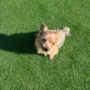 생글댕글 이미지