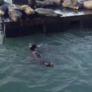 [어플] 난 이 어플 좋은데ㅎ 몬가 내 아이돌이 인스타그램에 올린 사진,비디오 저장하는 덕후 느낌도나궁ㅎ (+댓글추가) 이미지