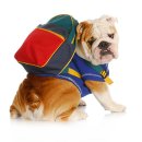 가야유치원 이미지