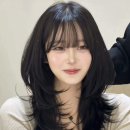 가을로헤어컷