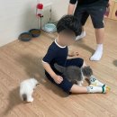 익산 고양이카페 아이캣유 이미지