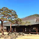 인흥마을 | 대구 인흥마을 남평문씨본리세거지 수봉정사 수백당 2월 홍매화 풍경