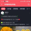 더리얼푸릇 이미지