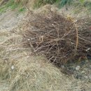 유량2교 이미지