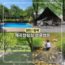 제천 계곡캠핑장 엉클캠프 충북 수영장 키즈캠핑장 추천