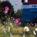 하동레일파크 이미지