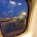 아모렉스 이미지