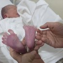 착한6주유소 | 대전서울여성병원 제왕절개 3박 4일 후기