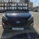 주식회사패밀리모터스컴퍼니 | 울산중고차 단지 실매물! 올뉴투싼 모던 피버 가솔린 2016년형 8만km 신용회복 / 개인회생 중고차 구입...