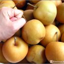 시동농장 이미지