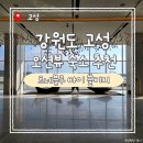 화동초등학교 출구 앞 | 강원도 고성 오션뷰 숙소 추천 '르네블루 바이 쏠비치'(구 워커힐) 디럭스 오션뷰 후기