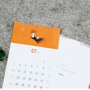 디자인디노