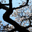 와룡주차장 이미지