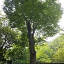 제이드가든 오토캠핑장 이미지