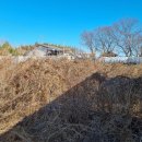 이어도공인중개사사무소 이미지