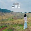 아연 민박 이미지