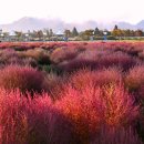 황산공원 이미지