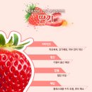 이미자농장 이미지