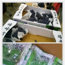 김종석농장 이미지