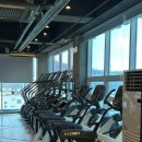 부부휘트니스 | 지축헬스장 지축pt 부부바디프로필 쏘마휘트니스 후기
