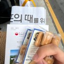 렛츠고월드투어 | 필리핀 렛츠고보홀 발리카삭 호핑투어 악조건에서도 만족스러웠던 내돈내산 후기