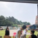 고고다이브