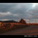 정감목장 이미지