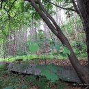 법화사지 이미지