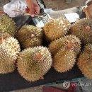 광풍커피