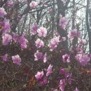 수변공원 (은빛개울공원) 이미지