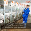 피그팜 이미지