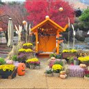 쉬자파크 이미지