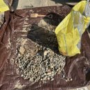 우암초교병설 이미지