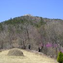 3월31(토)[ 0700 출발] 전남 여수 영취산 호랑산 (해발673m) 종주 참꽃축제 이미지