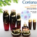 울페도라모자,레스포삭,소가죽로퍼,브래지어,구찌투웨이귀걸이,코리아나화장품 선물가능등 이미지