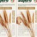 웰빙아울렛 네이버블로그
