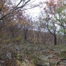 장원초등학교 이미지