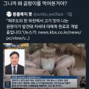 고기맛이 나는 곰팡이 발견 이미지