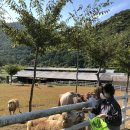 큰언덕목장 이미지