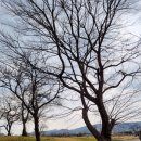 세븐일레븐 인왕점 이미지