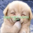 일소일소