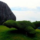 죽산휴게소 이미지