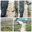 액비골(1) 이미지