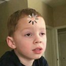 위드 | 위드댕댕이 방문 후기