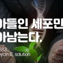 H4382 네이버블로그