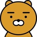 라이언 - 김천시 문화5길 18 | 라이언